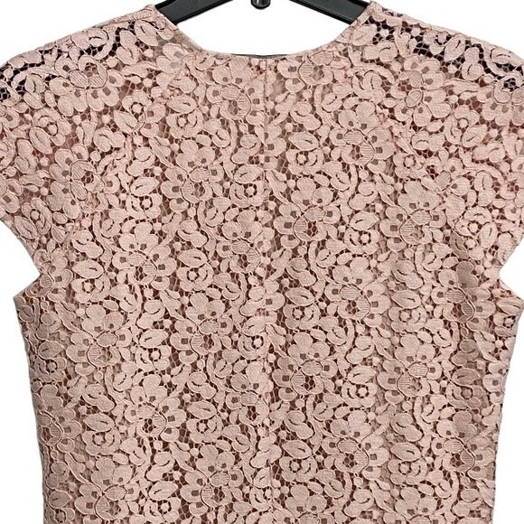 NWOT Zara Lace Overlay Mini Dress Size XS Light Pink Cap Sleeve Fairy - Picture 9 of 15